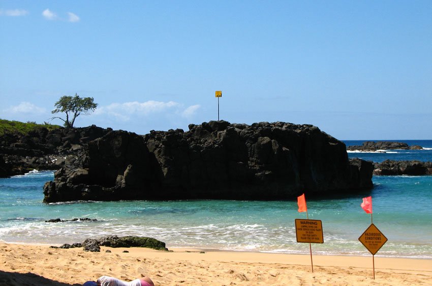 Warning signs on the beach