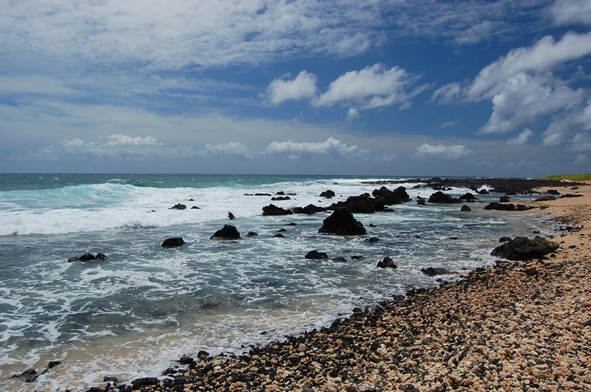 Wawamalu Beach Oahu