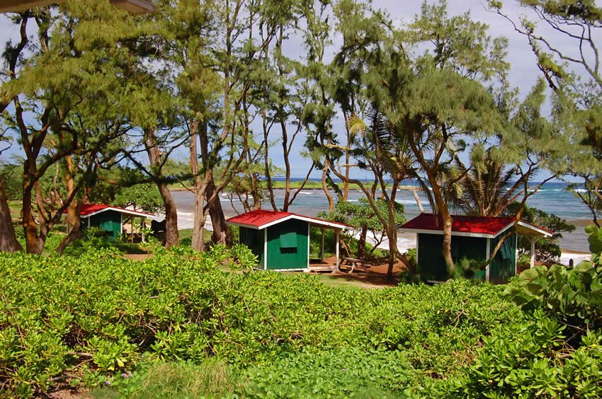 Plantation Hut