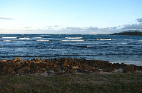 remote oahu