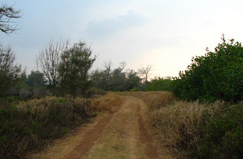 campground road