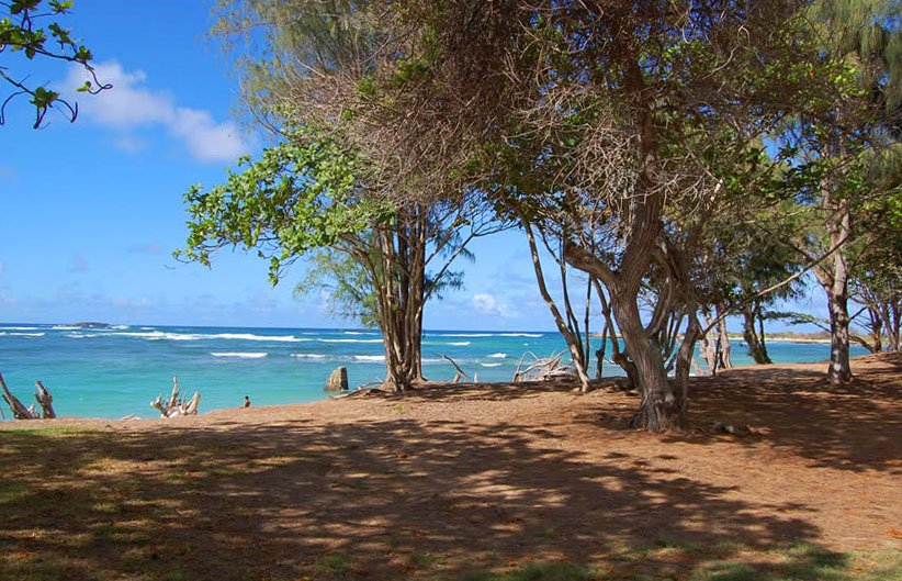 Oahu camping