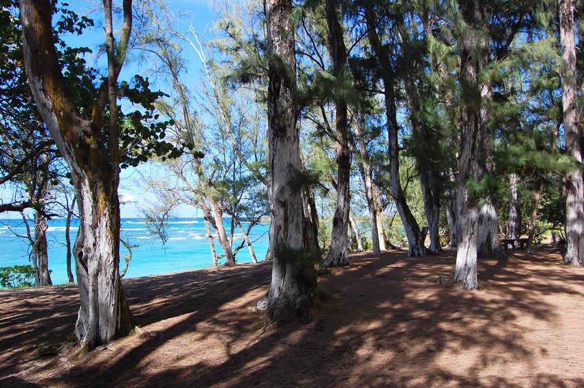 Malaekahana State Recreation Area