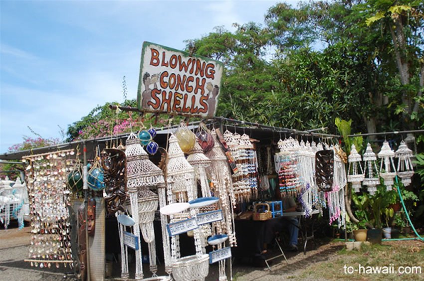 Blowing conch shells