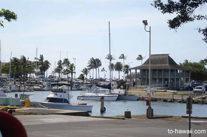 Hale'iwa Harbor