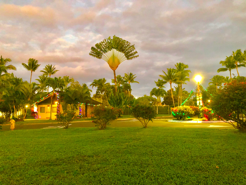 Kahuku Christmas