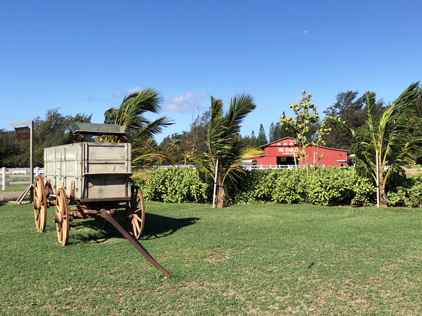 The Stables at Turtle Bay