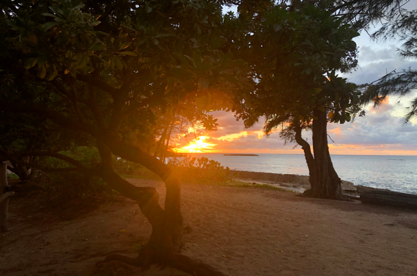 Turtle Bay sunset