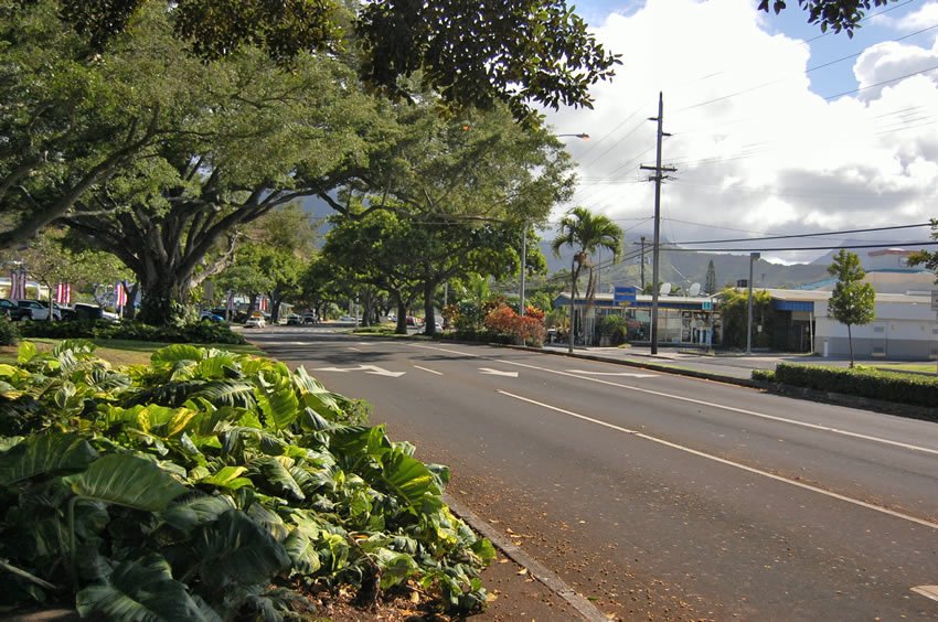 Kailua Road on Oahu