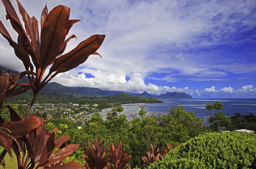 Kaneohe