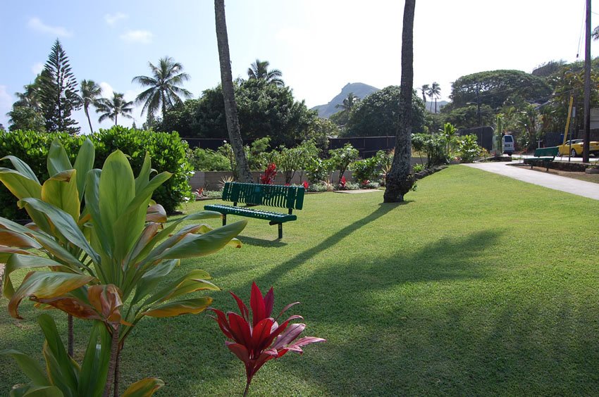 Small park in Lanikai