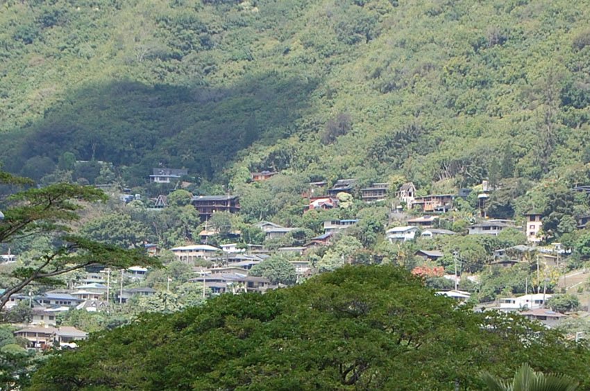 Homes on the mountain