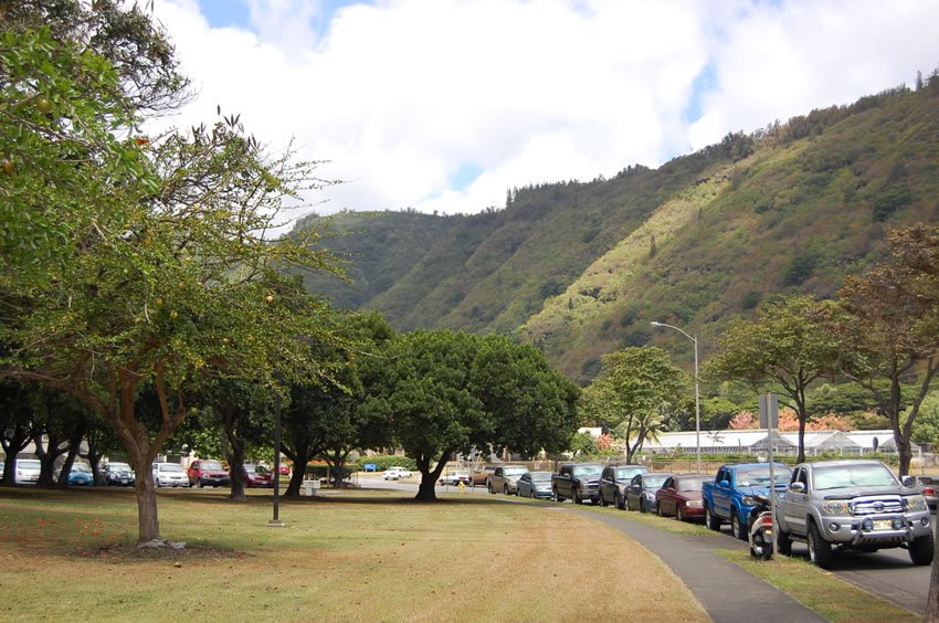 Scenic Manoa view