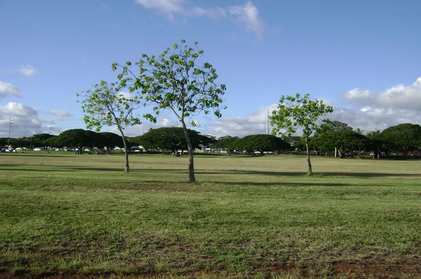 Neal Blaisdell Park