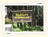 Wahiawa