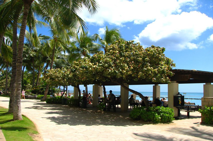 Beachfront promenade in Waikiki