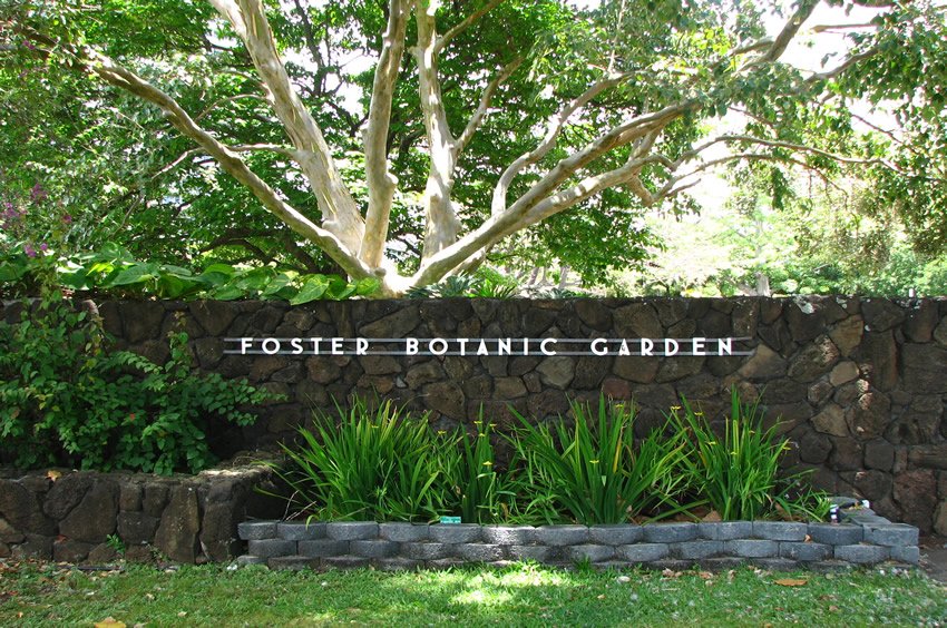 Foster Botanical Garden