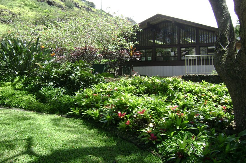 Halawa Xeriscape Garden