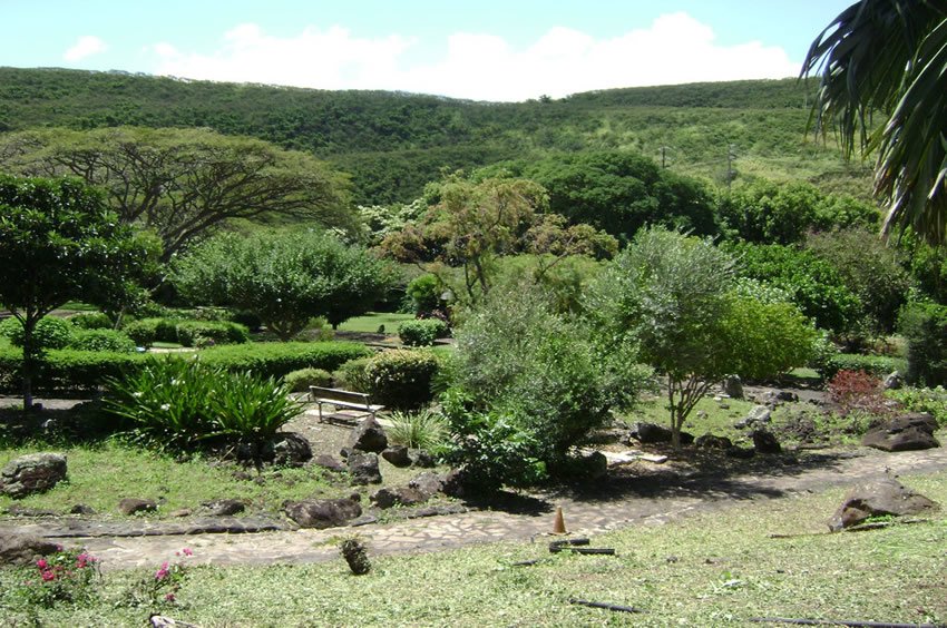 View to the garden