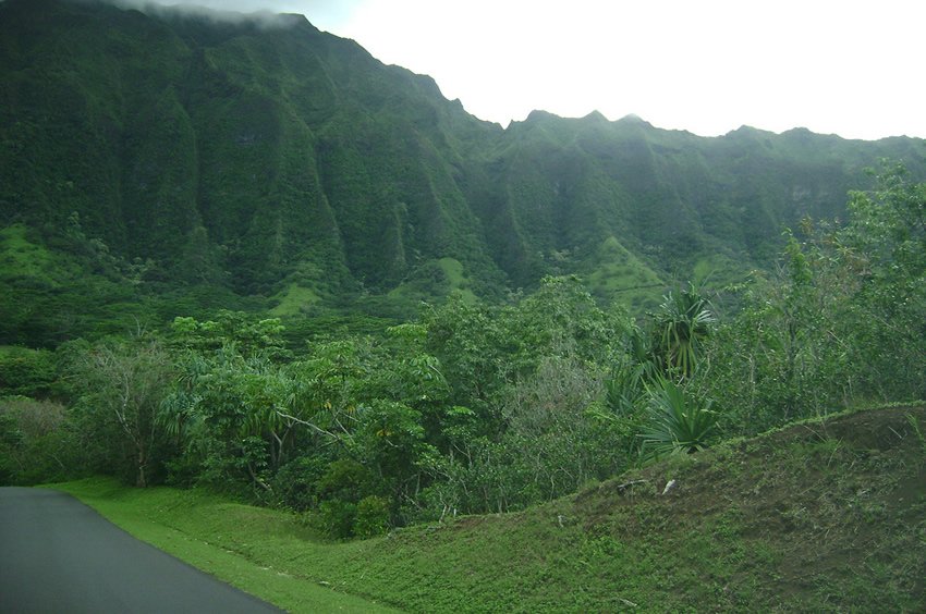 Botanical garden in Kaneohe