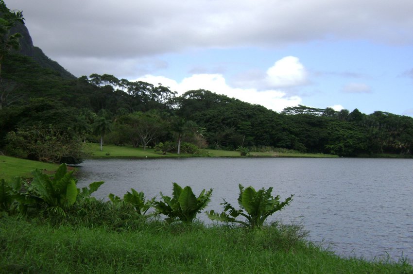 Ho'omaluhia Park