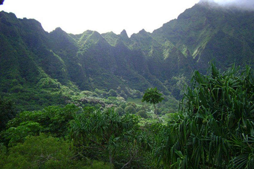 Ho'omaluhia Botanical Garden