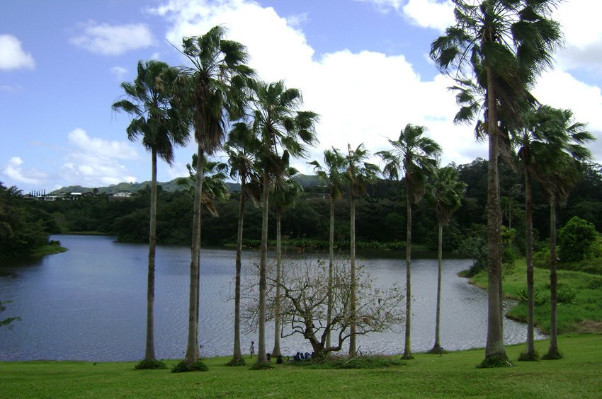 Ho'omaluhia Park