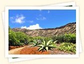 Koko Crater Botanical Gardens