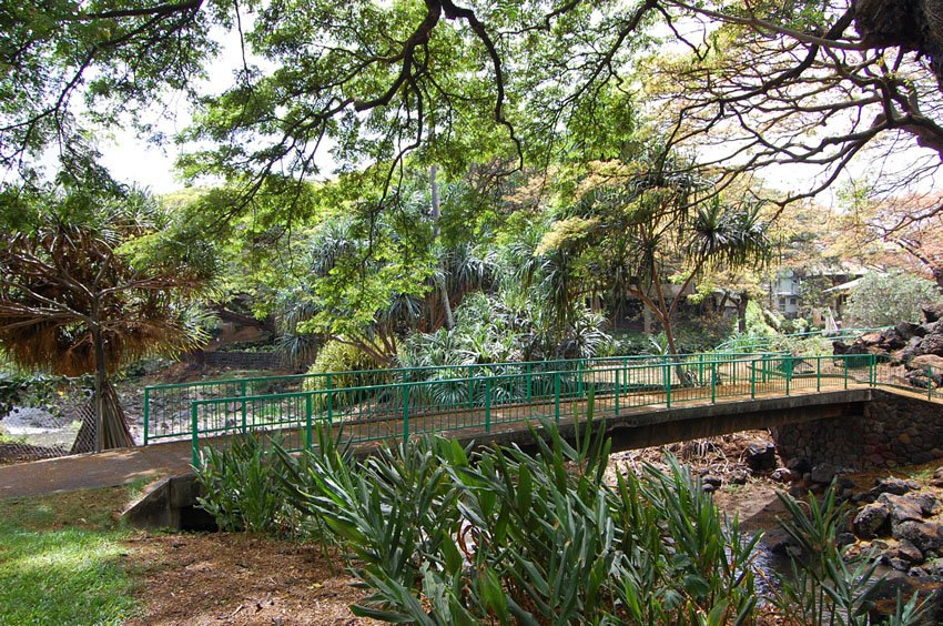 Bridge over Nu'uanu Stream