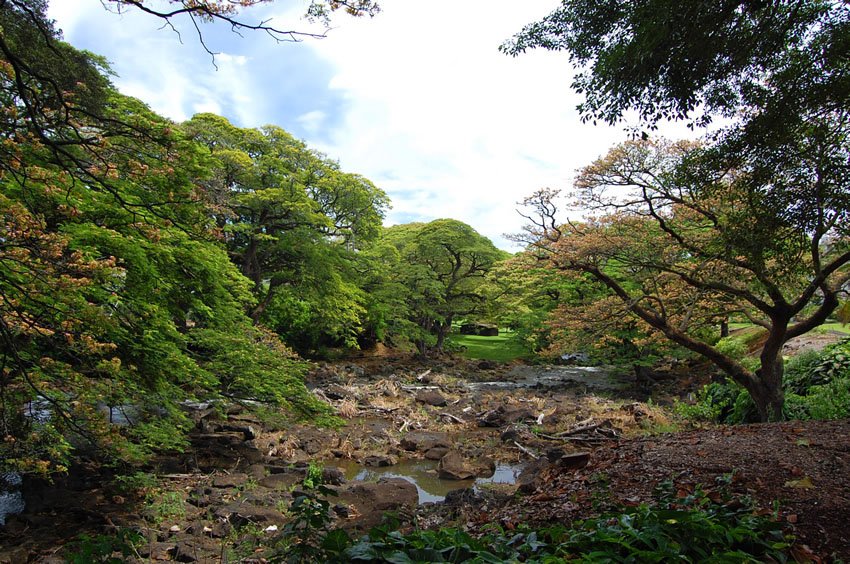 Lili'uokalani Botanical Garden in Honolulu