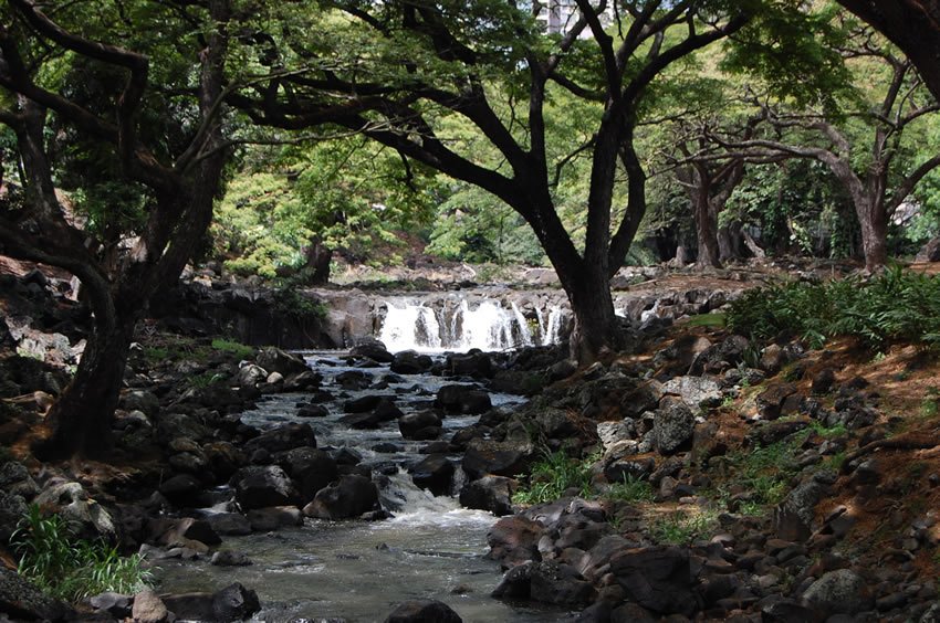 Lili'uokalani Botanical Garden