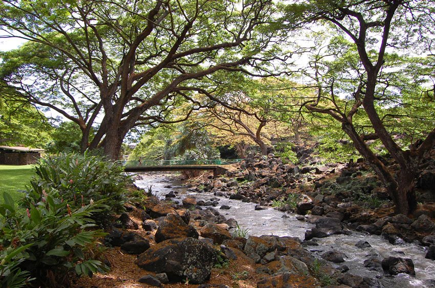 Nu'uanu Stream and bridge