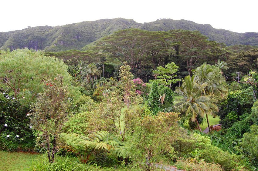 Scenic view from the Visitors Center