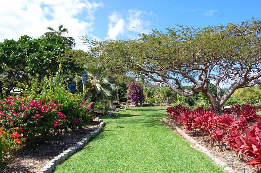 Queen Kapiolani Garden