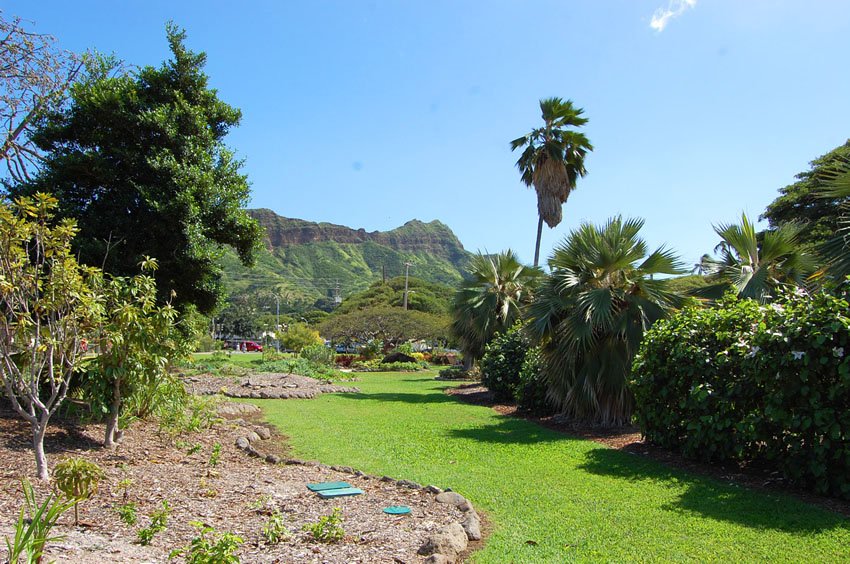 View to Diamond Head