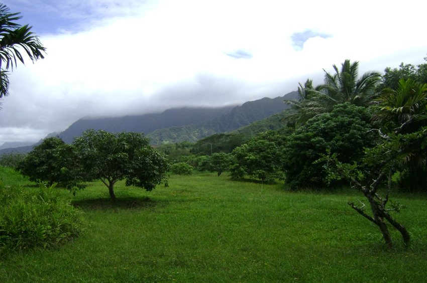 Senator Fong's Plantation & Gardens on Oahu