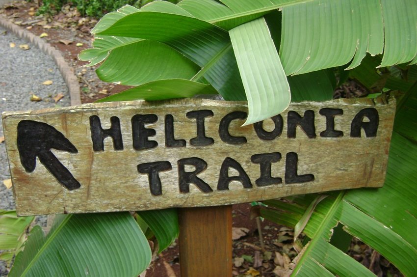 Heliconia Trail