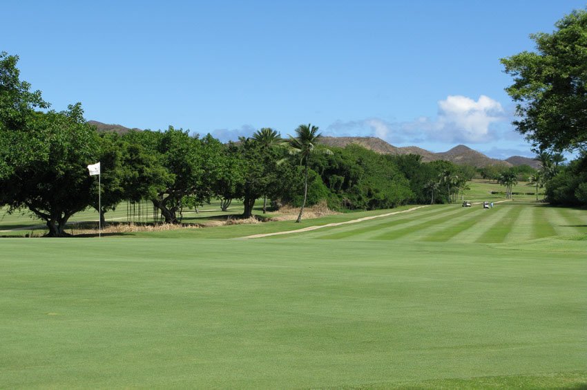 Golf course with many trees