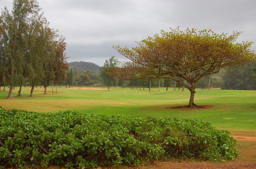 Scenic North Shore golf course