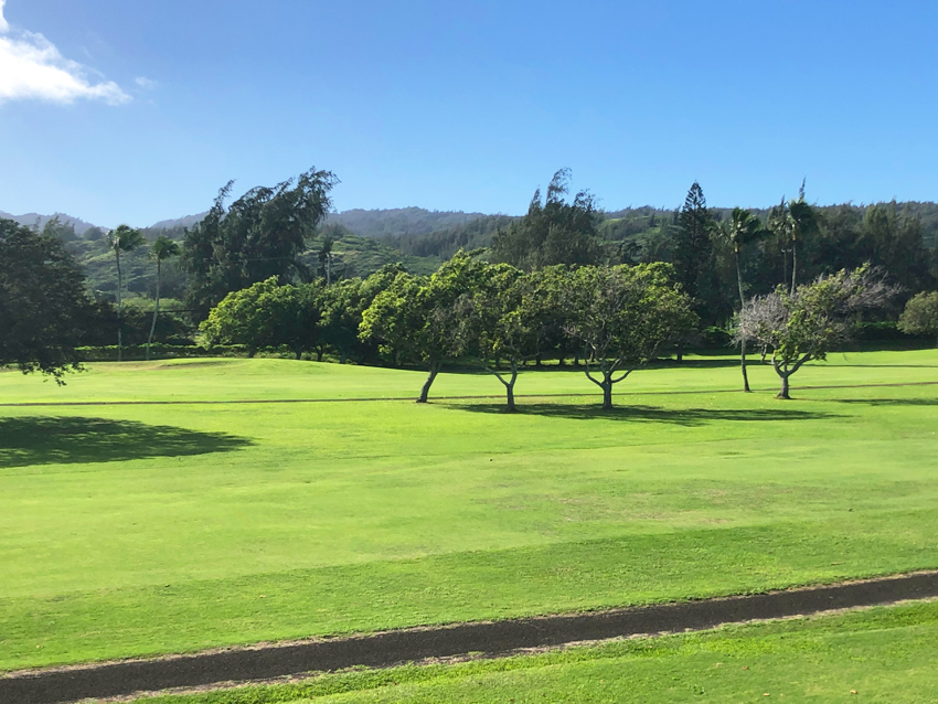 Turtle Bay Golf