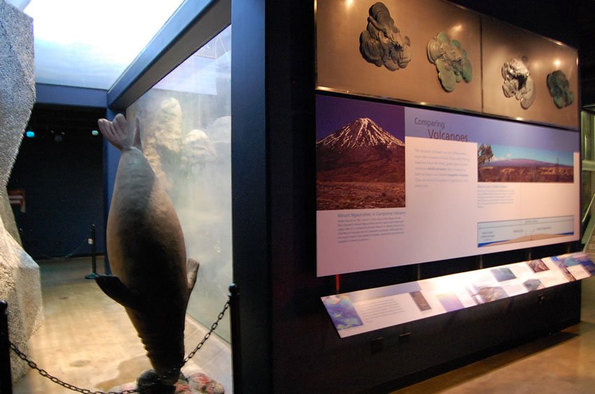 Hawaiian volcanoes exhibit