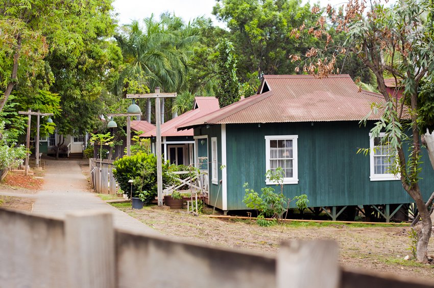 Plantation scenery