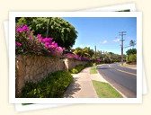 Diamond Head Road