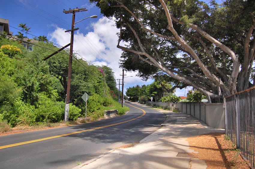 Scenic road near Waikiki