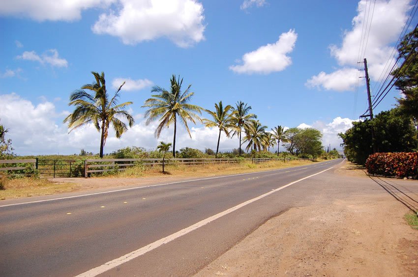 Not much traffic for an Oahu road