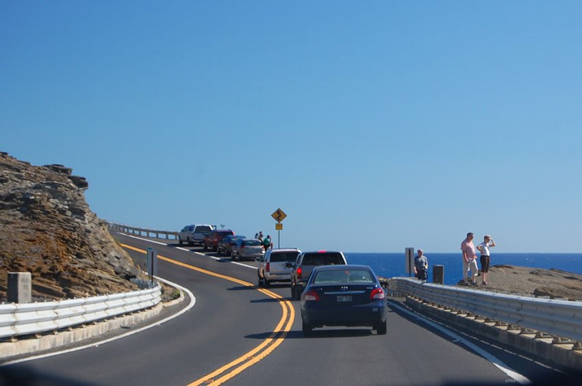 Scenic Oahu drive