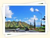 Pali Highway