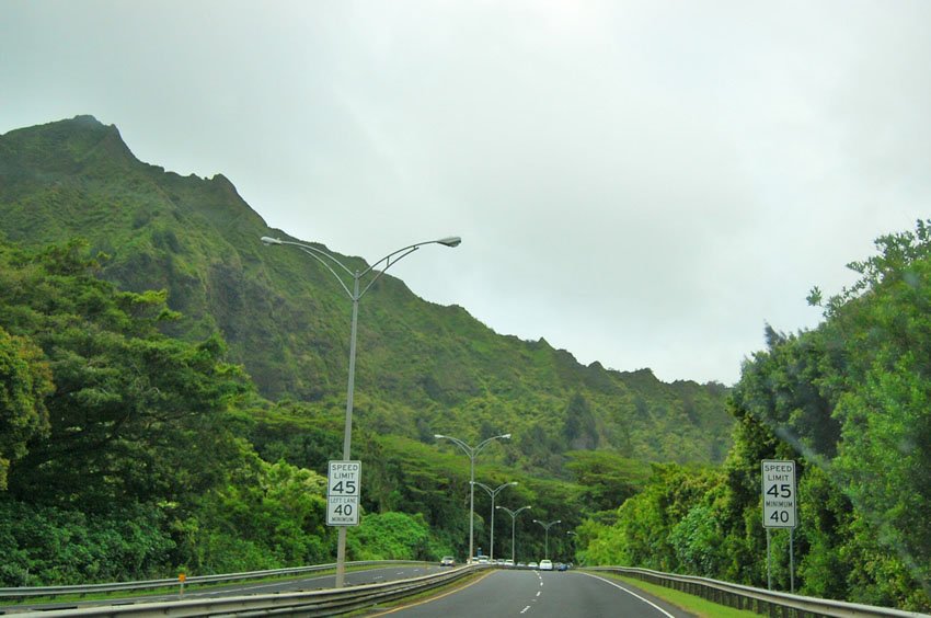 Speed limit signs