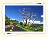 Tantalus Round Top Drive