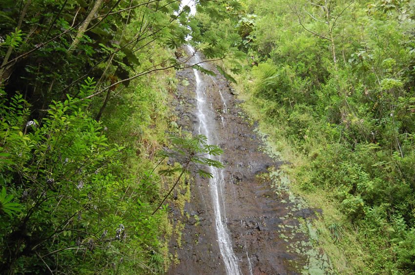 Manoa Falls